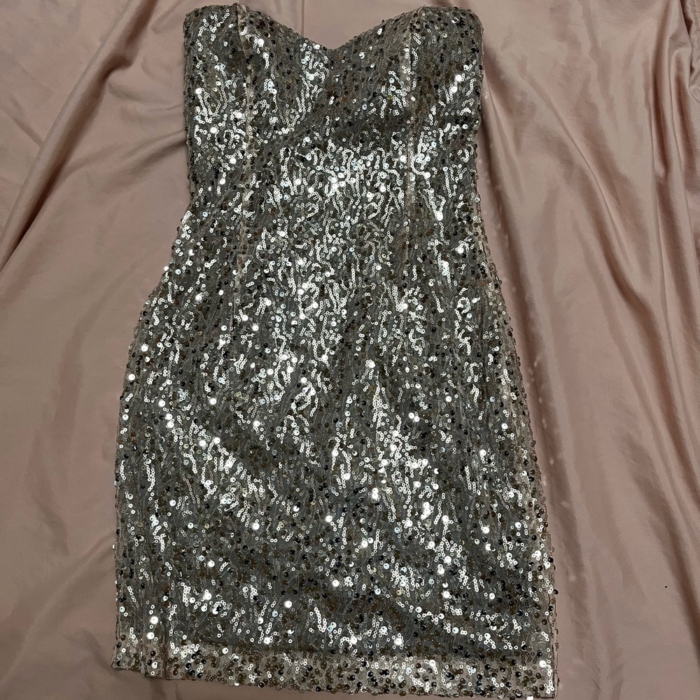 Elegant Silver Sequin Dress
